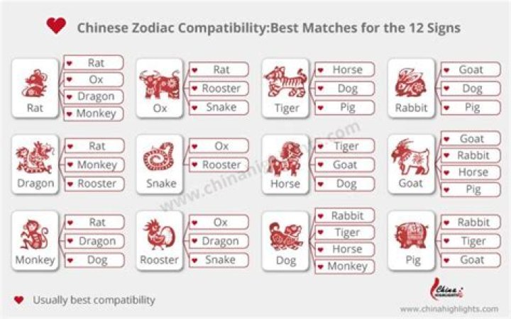 1976 Chinese Zodiac Compatibility: Discover Your Perfect Match