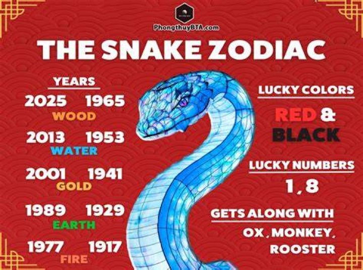 1985 Chinese Zodiac Element: Discover the Wood Snake and Its Profound Influence