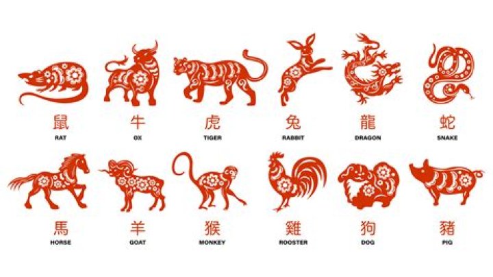 1987 Chinese Zodiac: Discover the Traits, Compatibility, and Lucky Elements