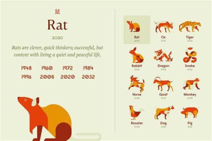 1996 Chinese Zodiac: Discover the Year of the Fire Rat and Its Traits
