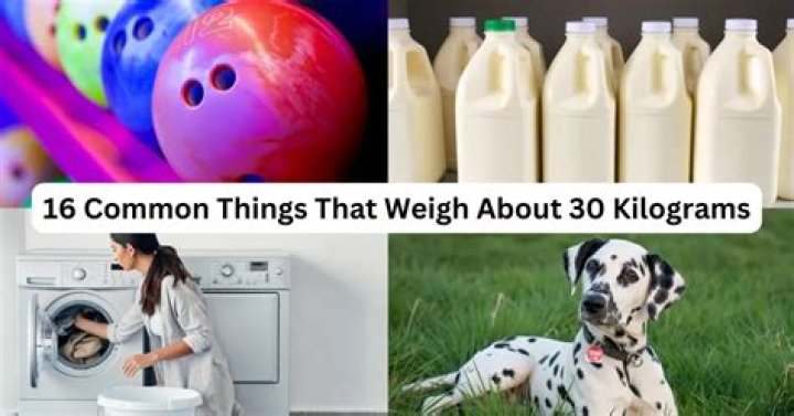220 Kilograms: Understanding Its Impact and Significance