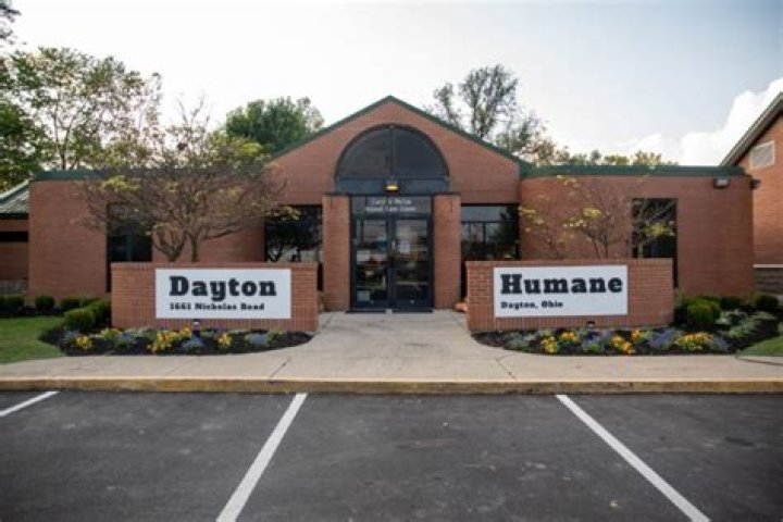 Adopt Your Perfect Companion at the Humane Society of Greater Dayton Adoption Center