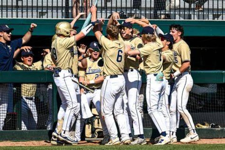 Baseball in Traverse City: A Thrilling Experience for Sports Enthusiasts