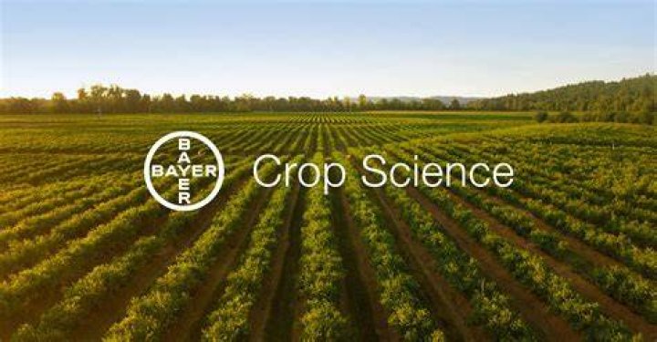Bayer CropScience: Revolutionizing Agriculture for a Sustainable Future