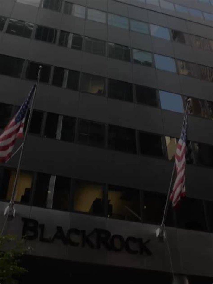 BlackRock Democrats: Exploring Their Influence on Modern Politics and Investment