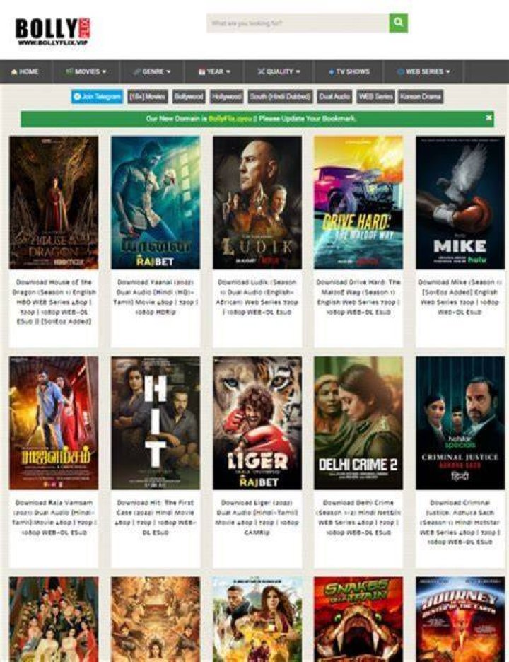 BollyFlix Official Website: Your Ultimate Destination for Bollywood Entertainment