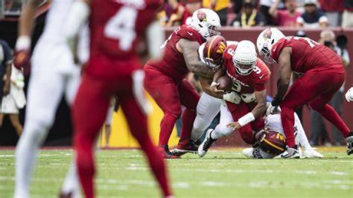Cardinals Gameunday: Your Ultimate Guide to the Best Football Experience