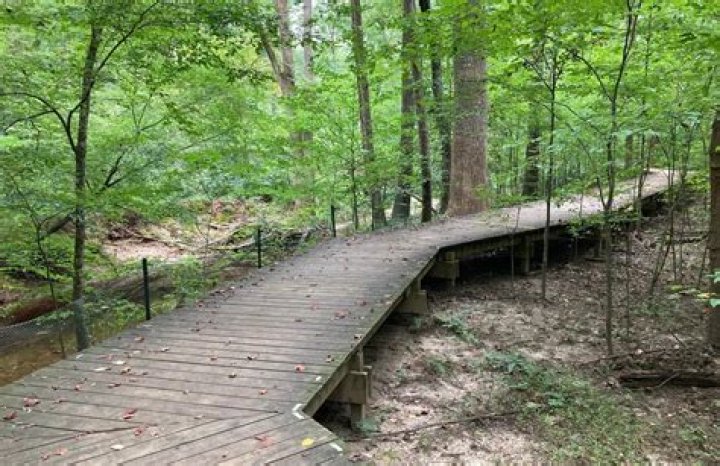 Cary Walking Trails: Discover the Best Routes for Your Adventure