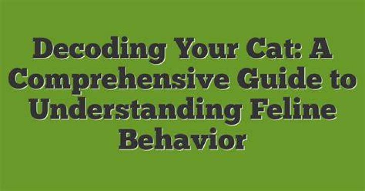 Cat: A Comprehensive Guide to Understanding and Caring for Our Feline Friends