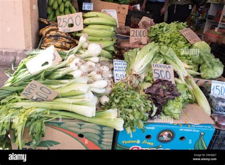 Central Market Antonio: The Heart of Cultural and Culinary Exploration