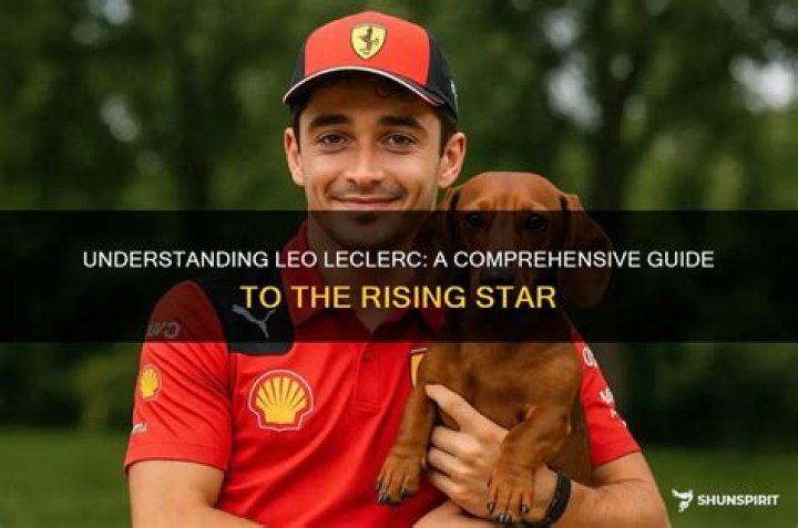 Chudney Laneilberstein: A Comprehensive Guide to Understanding the Rising Star