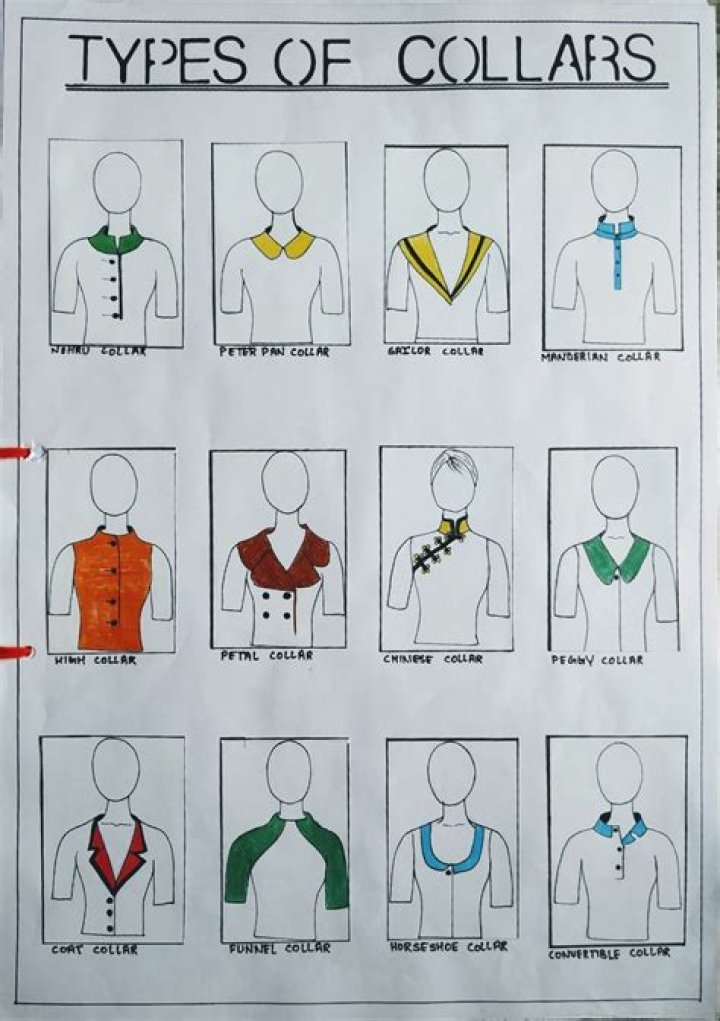 Collars &amp; Co: Your Ultimate Guide to Elegance and Style