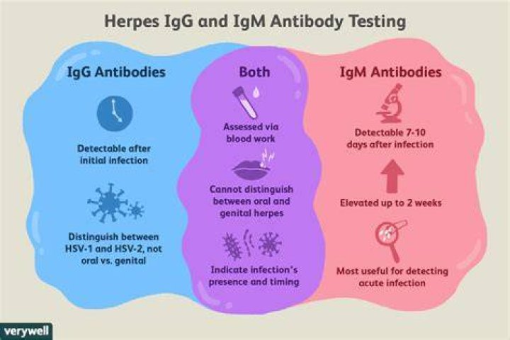 Comprehensive Guide to HSV 2 IGG Positive Treatment: Understanding, Managing, and Healing