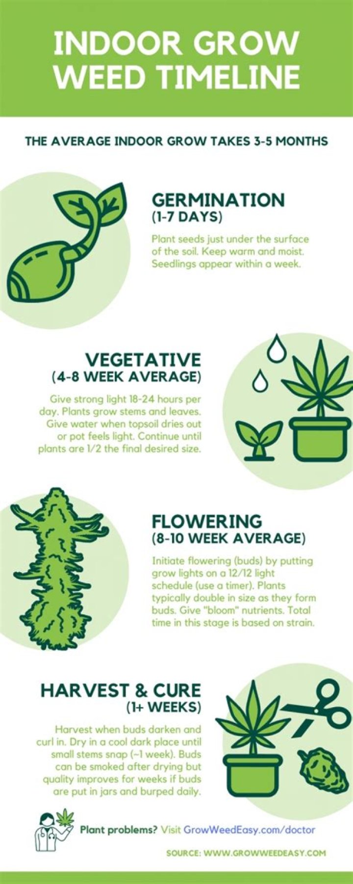 Comprehensive Guide to I Love Growing Marijuana Seed Bank: Your Trusted Source for High-Quality Seeds