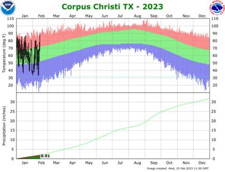 Corpus Christi Climate: A Comprehensive Guide to Weather Patterns, Environmental Changes, and Sustainable Living