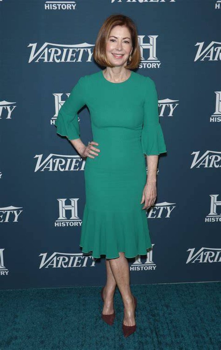 Dana Delany Actress: A Comprehensive Guide to Her Career and Legacy