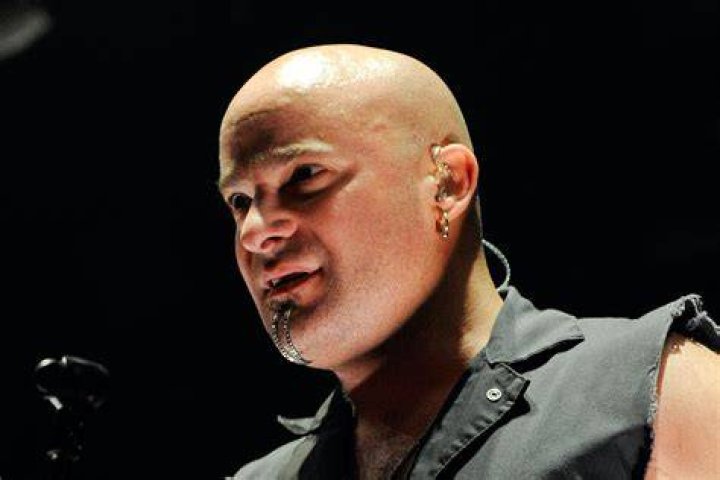 David Draiman Bands: A Comprehensive Exploration of the Iconic Musician's Journey