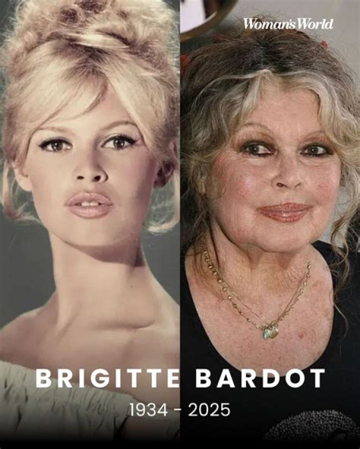 Definition Bardot: Unveiling the Timeless Fashion Icon