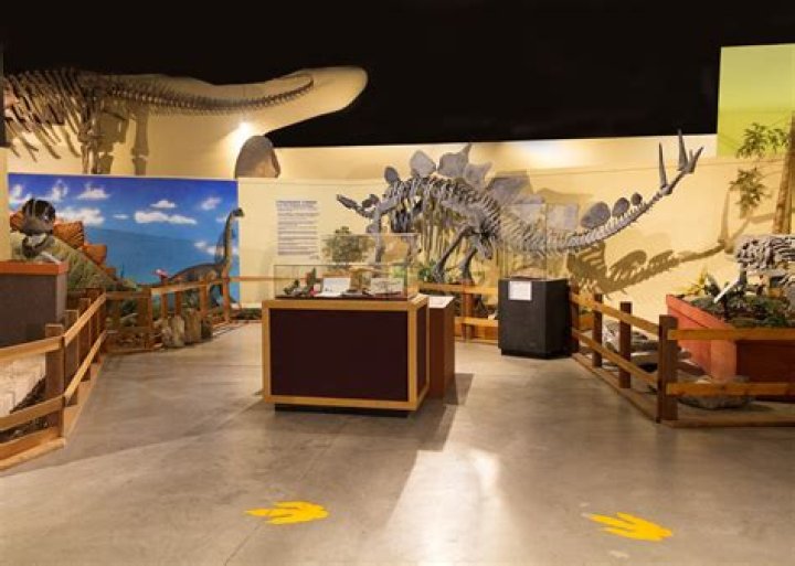 Dinosaur Museum Fruita: A Journey Through Time
