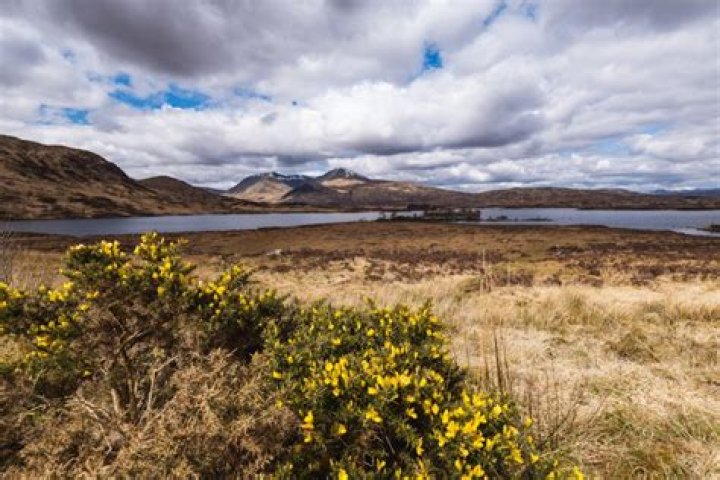 Discover the Allure of Pluckers Highlands: A Journey Through Nature and Tranquility