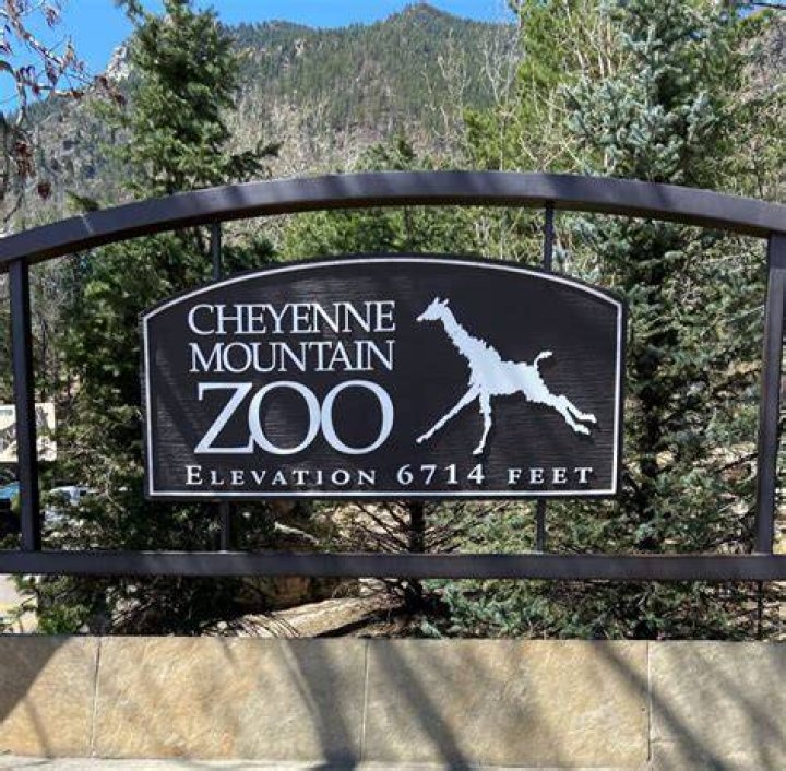 Discover the Best Cheyenne Mountain Zoo Deals: Your Ultimate Guide