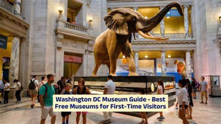 Discover the Best Free Museums in DC: A Comprehensive Guide