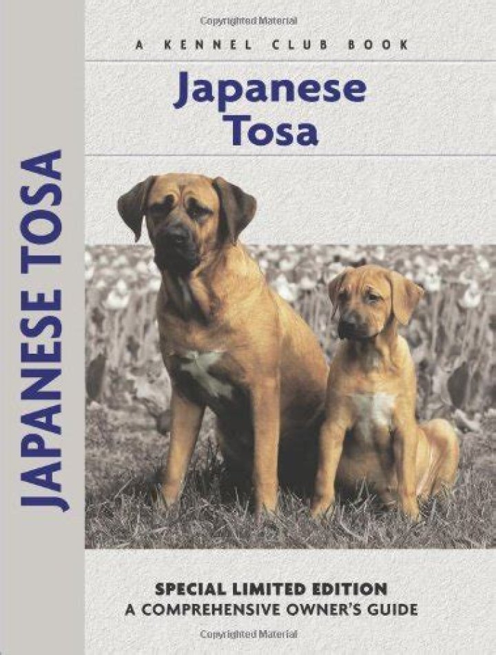 Discover the Majestic Japanese Dog Tosa: A Comprehensive Guide