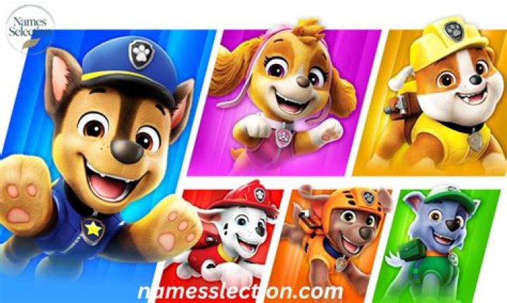 Discover the Ultimate Guide to Paw Patrol Dogs Names and Their Adventures