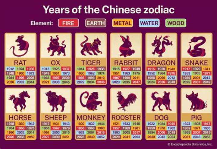 Discover Your Chinese Zodiac: A Comprehensive Guide for Those Born in 1976