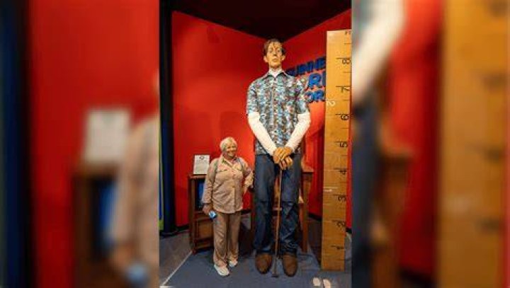 Discovering the World's Tallest Human: Facts, Records, and Inspiring Stories