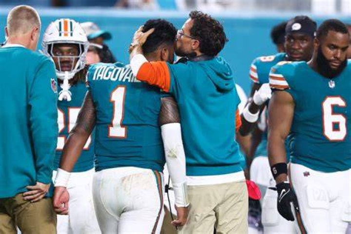 Dolphins Injury: Understanding the Impact on Players and Teams