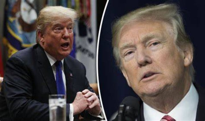 Donald Trump's Daily Routine: A Comprehensive Insight