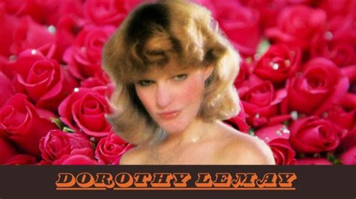 Dorothy Lemay Videos: A Comprehensive Guide to Her Work and Legacy