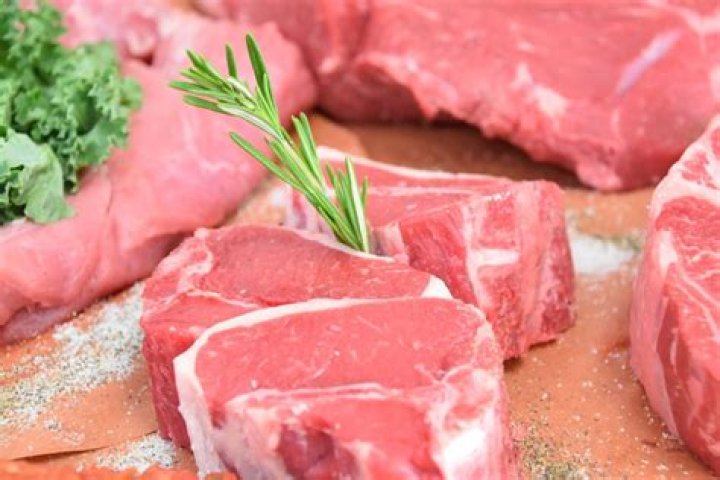 Drake Meat: The Ultimate Guide to Understanding, Exploring, and Enjoying