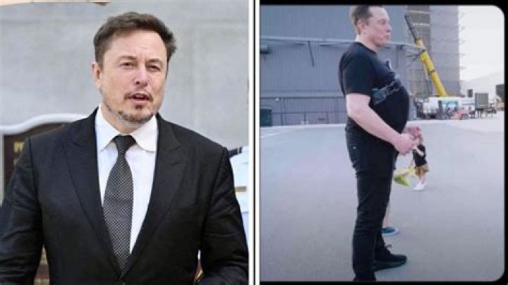 Elon Musk Bulge: Unveiling the Truth Behind the Viral Phenomenon