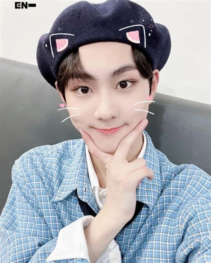ENHYPEN Leader: Exploring the Charisma and Leadership of Jungwon