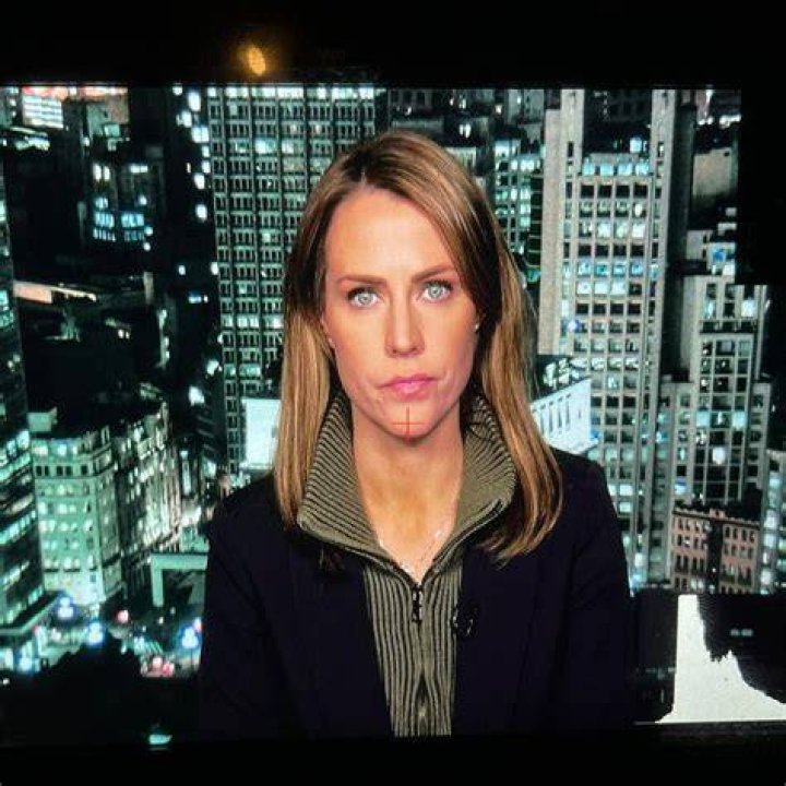 Erin Perrine Bio: A Comprehensive Look into the Life of a Talented Journalist