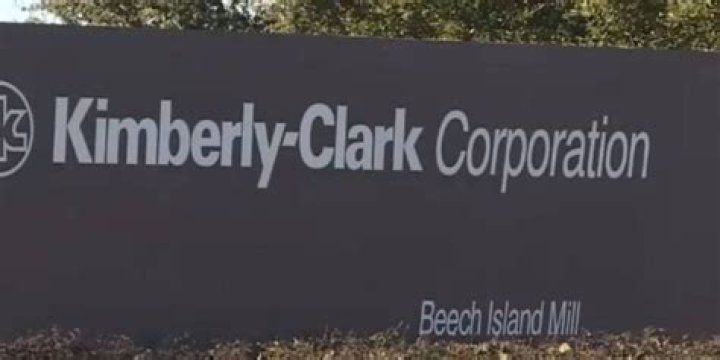 Exploring Kimberly-Clark's Beech Island: A Comprehensive Guide