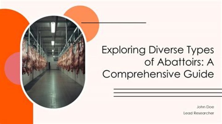 Exploring the Diverse Types of Categories: A Comprehensive Guide