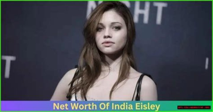 Exploring the Enigma: CoachHah Net Worth and the Journey to Success