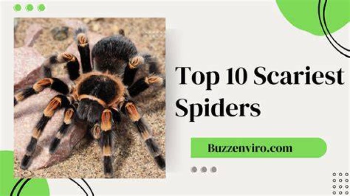 Exploring the Scariest Animal in the World: A Comprehensive Guide