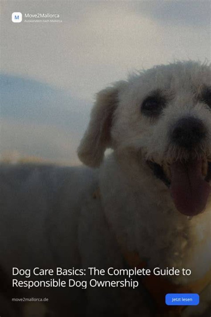 Eyes Open Puppies: A Comprehensive Guide to Responsible Ownership and Care