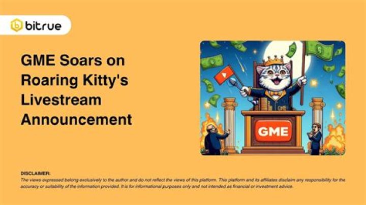 GME Kitty: The Ultimate Guide to Understanding the Phenomenon