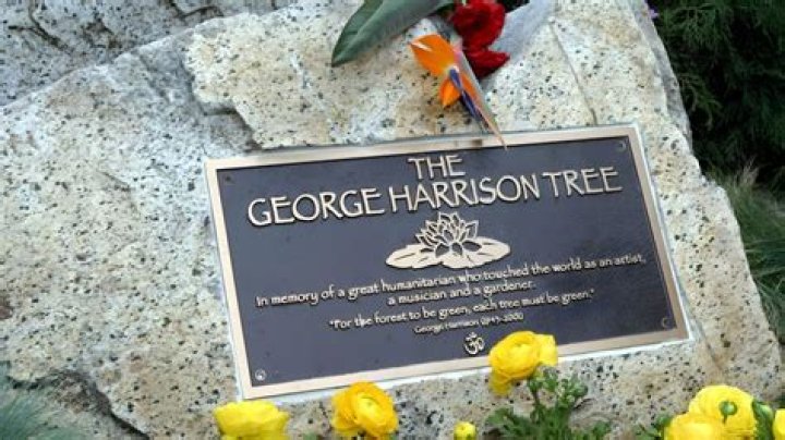 Harrison Death: A Detailed Analysis of the Life and Legacy of a Legendary Star
