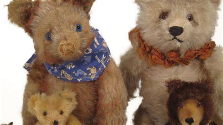 How Old is Teddy: A Comprehensive Guide to Understanding Teddy's Age