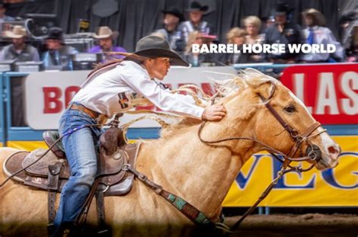 International Barrel Horse Association: The Premier Organization for Barrel Racing Enthusiasts