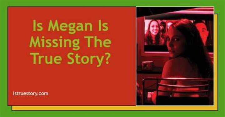 Is Megan Is Missing Based on a True Story? Unveiling the Facts Behind the Chilling Netflix Film