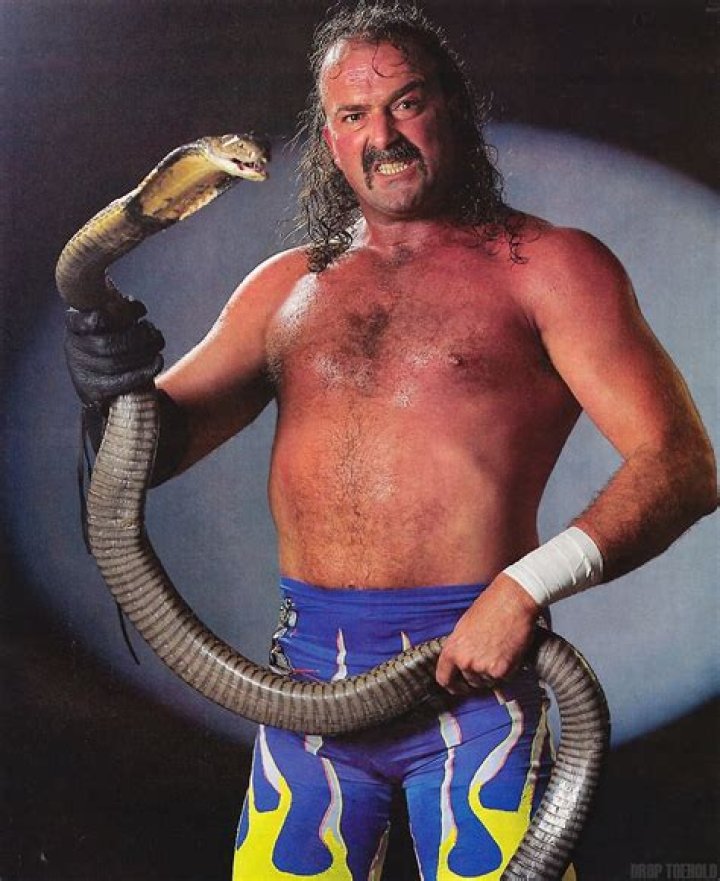 Jake 'The Snake' Roberts: The Iconic WWF Wrestler's Legacy