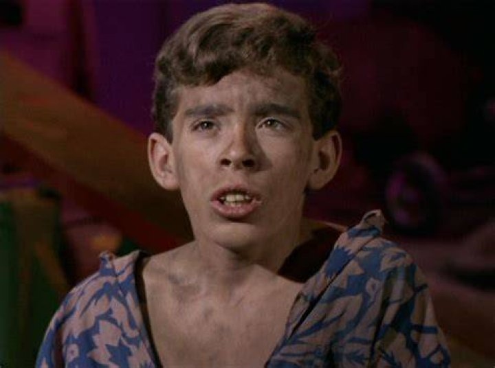 John Megna Actor: The Rising Star in Hollywood