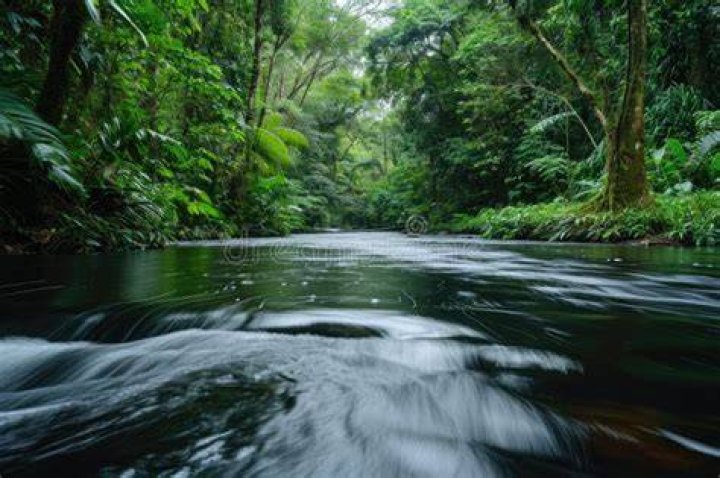 Kali Roees: The Majestic River Flowing Through the Heart of Java
